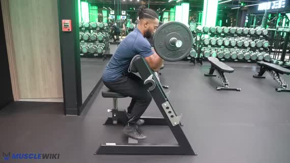 جلو بازو لاری با میله EZ