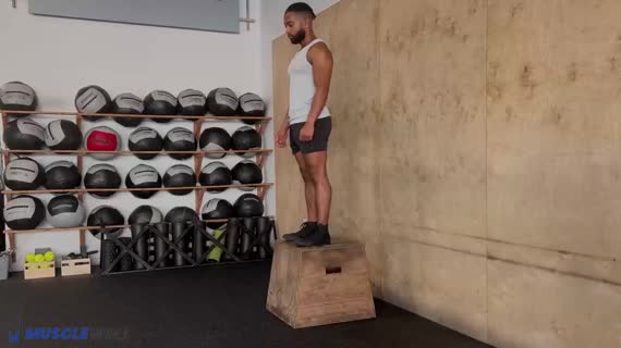 پرش عمقی و جهش رو به بالا