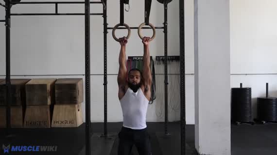 بارفیکس با حلقه‌ها
