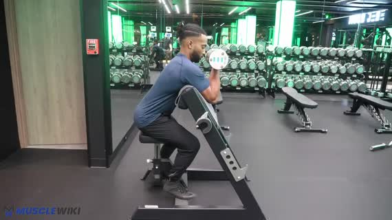 جلو بازو لاری با دمبل