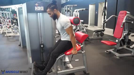 فیله کمر با دستگاه